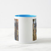 USA, Arkansas, War Eagle, Hobbs State Park Mok (Midden)