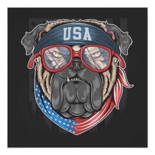USA Bulldog Perfect Poster (Voorkant)