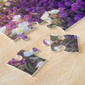 USA, California, Anza-Borrego Desert State Park. 2 Legpuzzel (Zijkant)