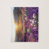 USA, California, Anza-Borrego Desert State Park. 2 Legpuzzel (Verticaal)