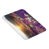 USA, California, Anza-Borrego Desert State Park. 2 Magneet (Rechterzijde)