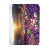 USA, California, Anza-Borrego Desert State Park. 2 Magneet (Verticaal)