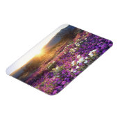 USA, California, Anza-Borrego Desert State Park. 2 Magneet (Linkerzijde)