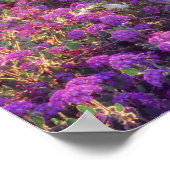 USA, California, Anza-Borrego Desert State Park. 2 Poster (Hoek)