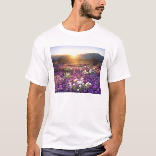 USA, California, Anza-Borrego Desert State Park. 2 T-shirt (Voorkant)