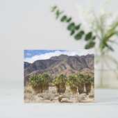 USA, California, Anza-Borrego Desert State Park. Briefkaart (Staand voorkant)