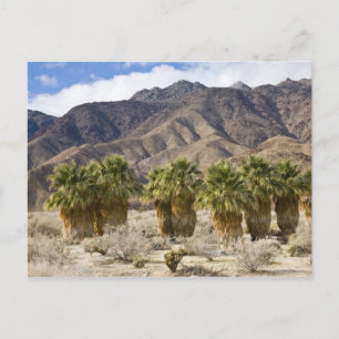 USA, California, Anza-Borrego Desert State Park. Briefkaart