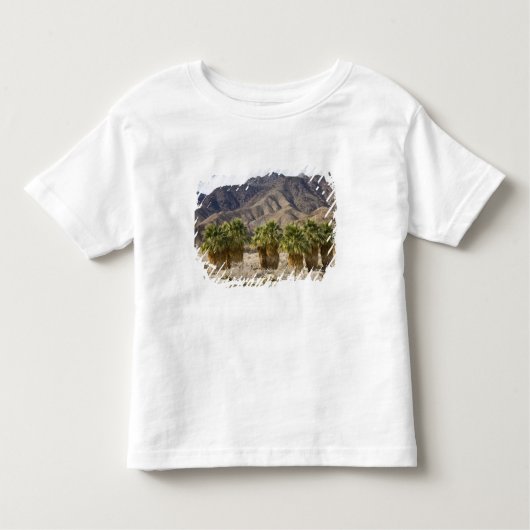 USA, California, Anza-Borrego Desert State Park. Kinder Shirts (Voorkant)