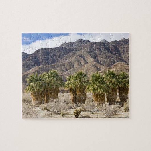 USA, California, Anza-Borrego Desert State Park. Legpuzzel (Horizontaal)