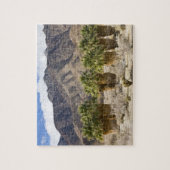 USA, California, Anza-Borrego Desert State Park. Legpuzzel (Verticaal)