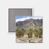 USA, California, Anza-Borrego Desert State Park. Magneet (Voorkant / Achterkant)