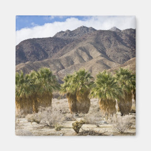 USA, California, Anza-Borrego Desert State Park. Magneet