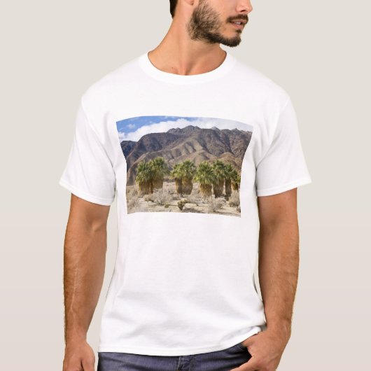 USA, California, Anza-Borrego Desert State Park. T-shirt (Voorkant)
