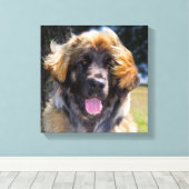 USA, California. Beeltenis: Leonberger Sitting Canvas Afdruk (Insitu (Houten vloer))
