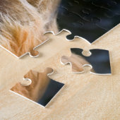 USA, California. Beeltenis: Leonberger Sitting Legpuzzel (Zijkant)