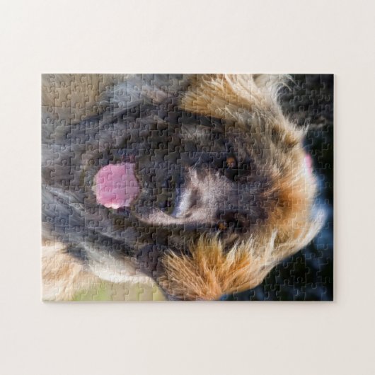 USA, California. Beeltenis: Leonberger Sitting Legpuzzel (Horizontaal)