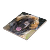 USA, California. Beeltenis: Leonberger Sitting Tegeltje (Zijkant)