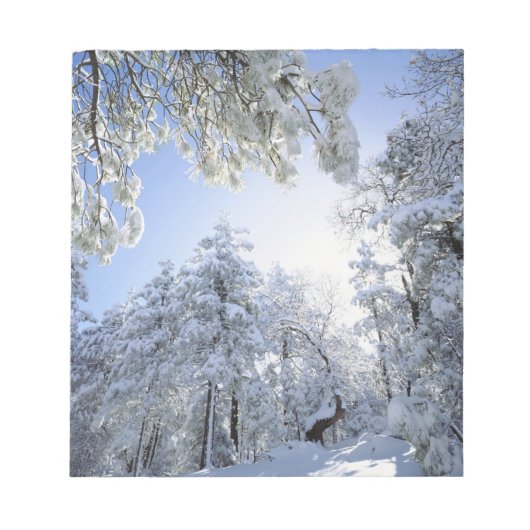 USA, California, Cleveland National Forest, Notitieblok (Voorkant)