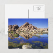 USA, California, Joshua Tree National Park Briefkaart (Voorkant / Achterkant)