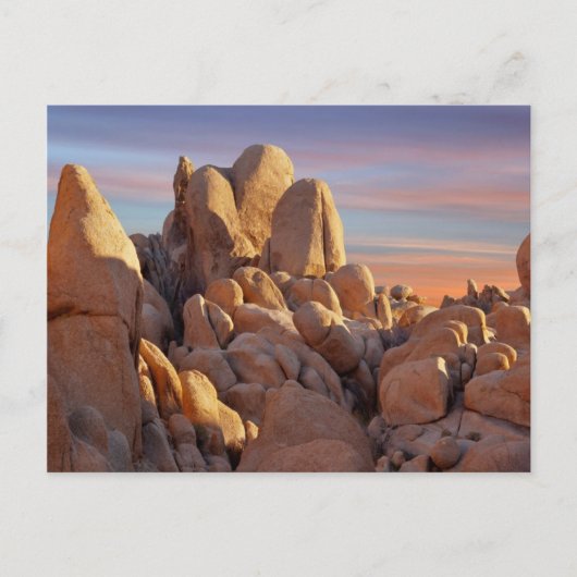 USA, California, Joshua Tree National Park Briefkaart (Voorkant)