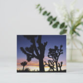 USA, California, Joshua Tree National Park Briefkaart (Staand voorkant)
