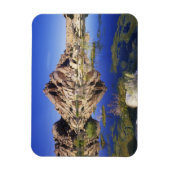 USA, California, Joshua Tree National Park Magneet (Verticaal)