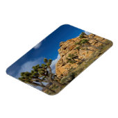 USA, California, Joshua Tree National Park Magneet (Linkerzijde)