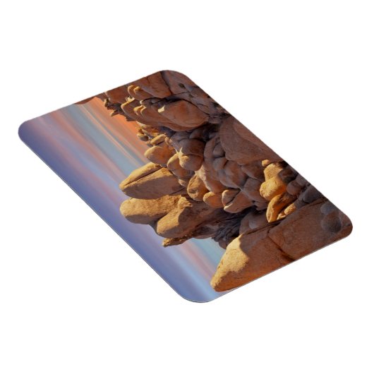 USA, California, Joshua Tree National Park Magneet (Rechterzijde)