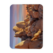 USA, California, Joshua Tree National Park Magneet (Verticaal)