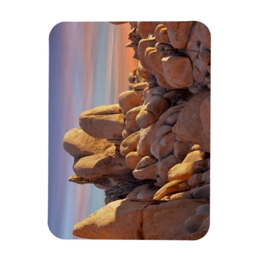 USA, California, Joshua Tree National Park Magneet (Verticaal)
