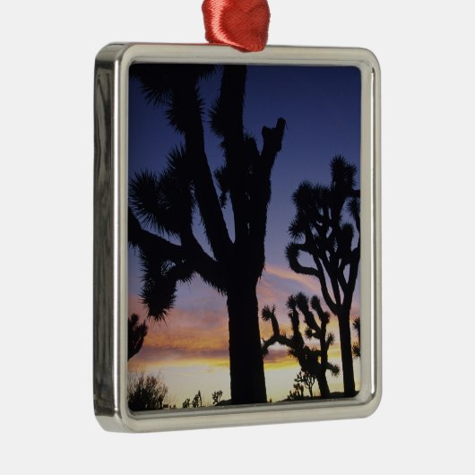 USA, California, Joshua Tree National Park Metalen Ornament (Rechts)