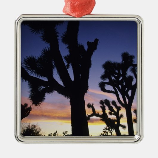 USA, California, Joshua Tree National Park Metalen Ornament (Voorkant)