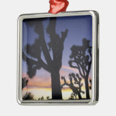 USA, California, Joshua Tree National Park Metalen Ornament (Links)