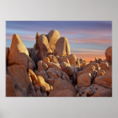 USA, California, Joshua Tree National Park Poster (Voorkant)