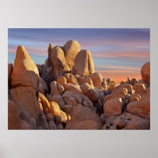 USA, California, Joshua Tree National Park Poster (Voorkant)
