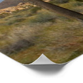 USA, California, Joshua Tree National Park Poster (Hoek)