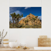USA, California, Joshua Tree National Park Poster (Keuken)