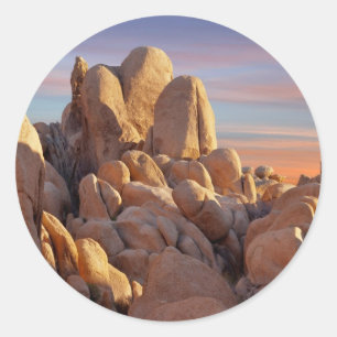 USA, California, Joshua Tree National Park Ronde Sticker