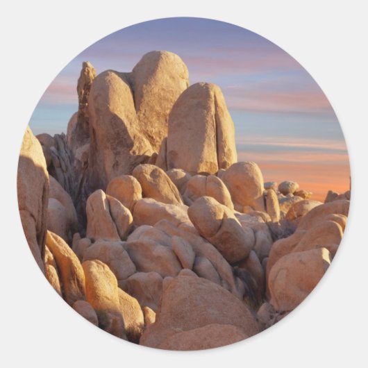 USA, California, Joshua Tree National Park Ronde Sticker (Voorkant)