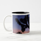 USA, California, Joshua Tree National Park Tweekleurige Koffiemok (Links)