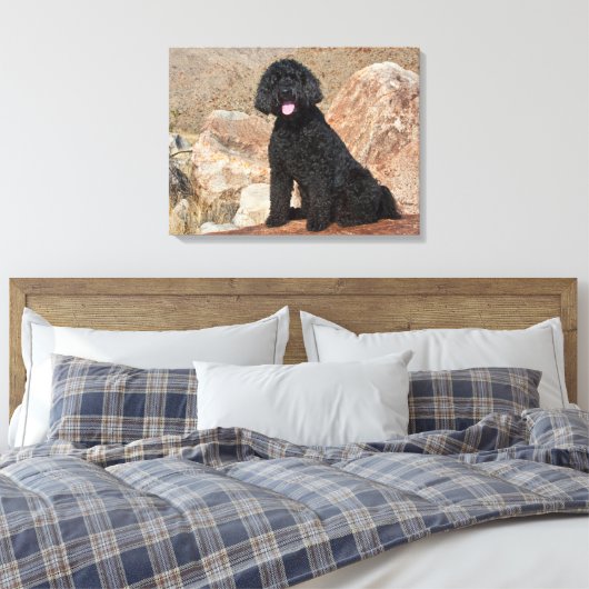 USA, California. Labradoodle Sitting Canvas Afdruk (Insitu (Slaapkamer))