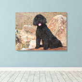 USA, California. Labradoodle Sitting Canvas Afdruk (Insitu (Houten vloer))