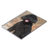 USA, California. Labradoodle Sitting Notitieboek (Linkerzijde)