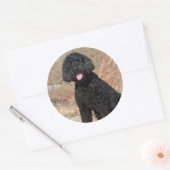 USA, California. Labradoodle Sitting Ronde Sticker (Envelop)