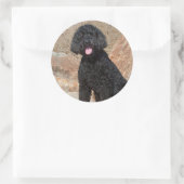 USA, California. Labradoodle Sitting Ronde Sticker (Tas)