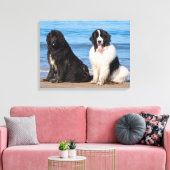 USA, California. Newfoundlands Sitting Canvas Afdruk (Insitu (Woonkamer))