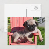 USA, California. Puppy Slouching Briefkaart (Voorkant / Achterkant)