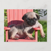 USA, California. Puppy Slouching Briefkaart (Voorkant)