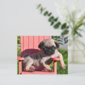 USA, California. Puppy Slouching Briefkaart (Staand voorkant)