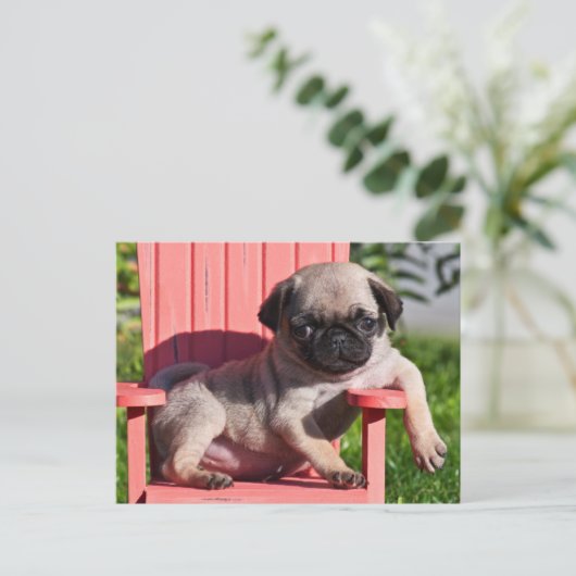 USA, California. Puppy Slouching Briefkaart (Staand voorkant)